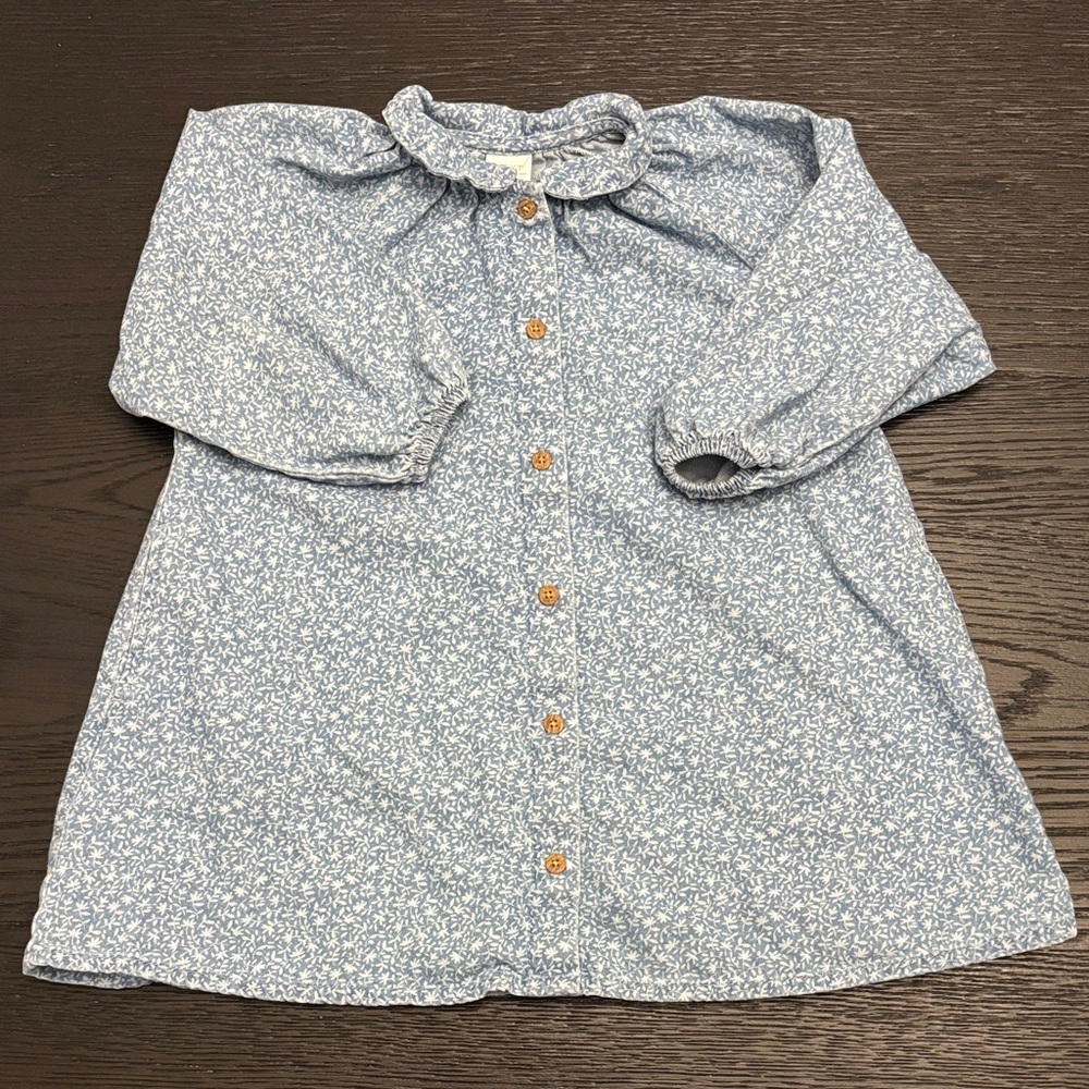 next Blue Ditsy Floral Button-Front Ruffle Collar Soft Denim Dress